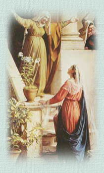 �G���U�x�g