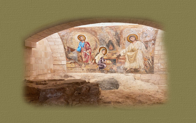 �����Z�t�����